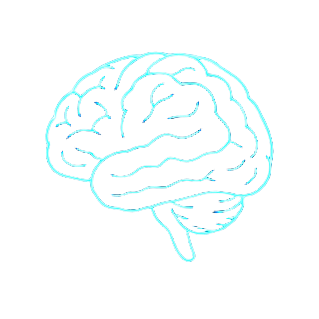 NEUROVÍA Brain